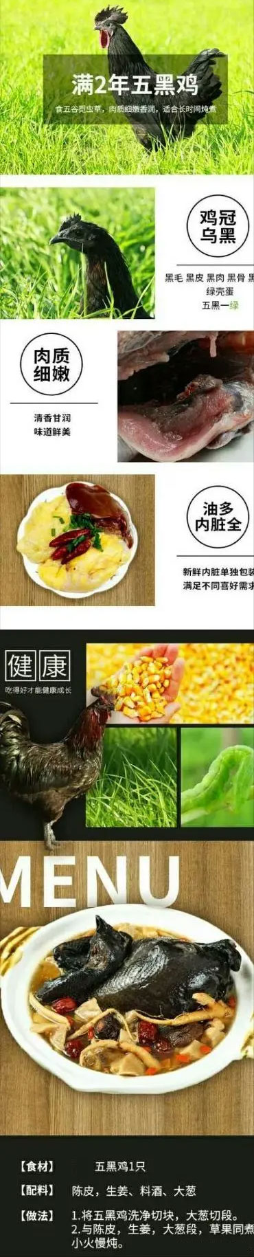五黑雞