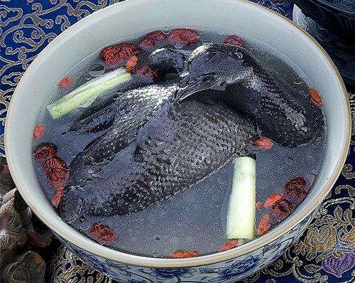 五黑一綠