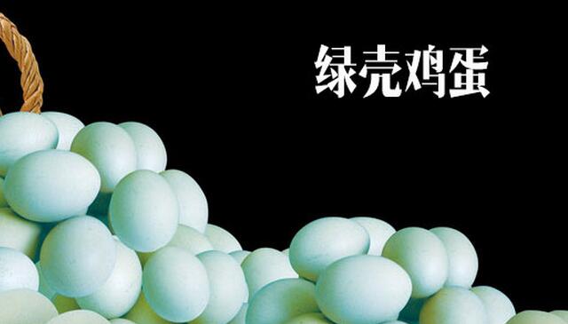 綠殼雞蛋價格