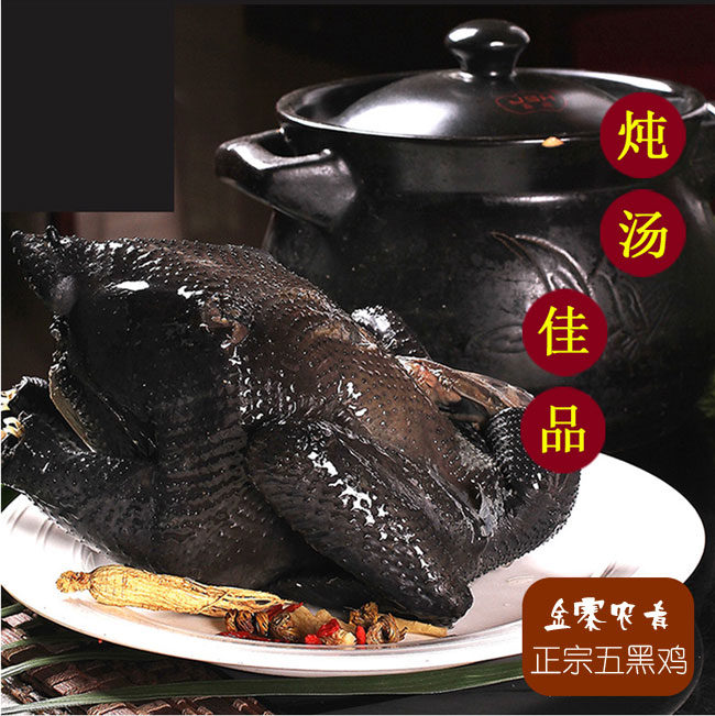 五黑雞