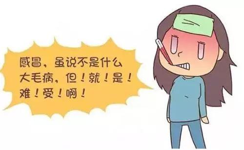 金寨散養(yǎng)土雞