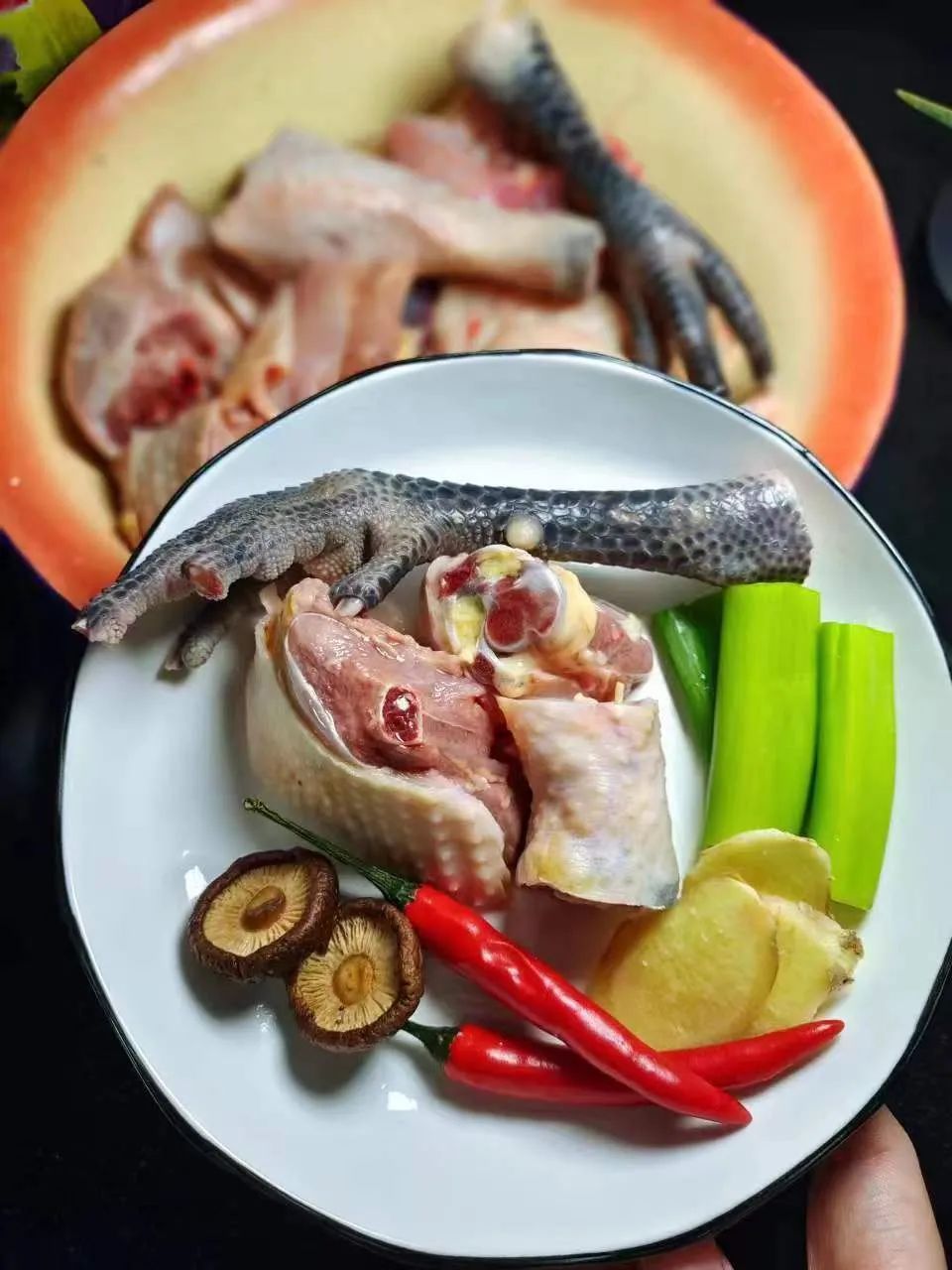 金寨黑腳土雞