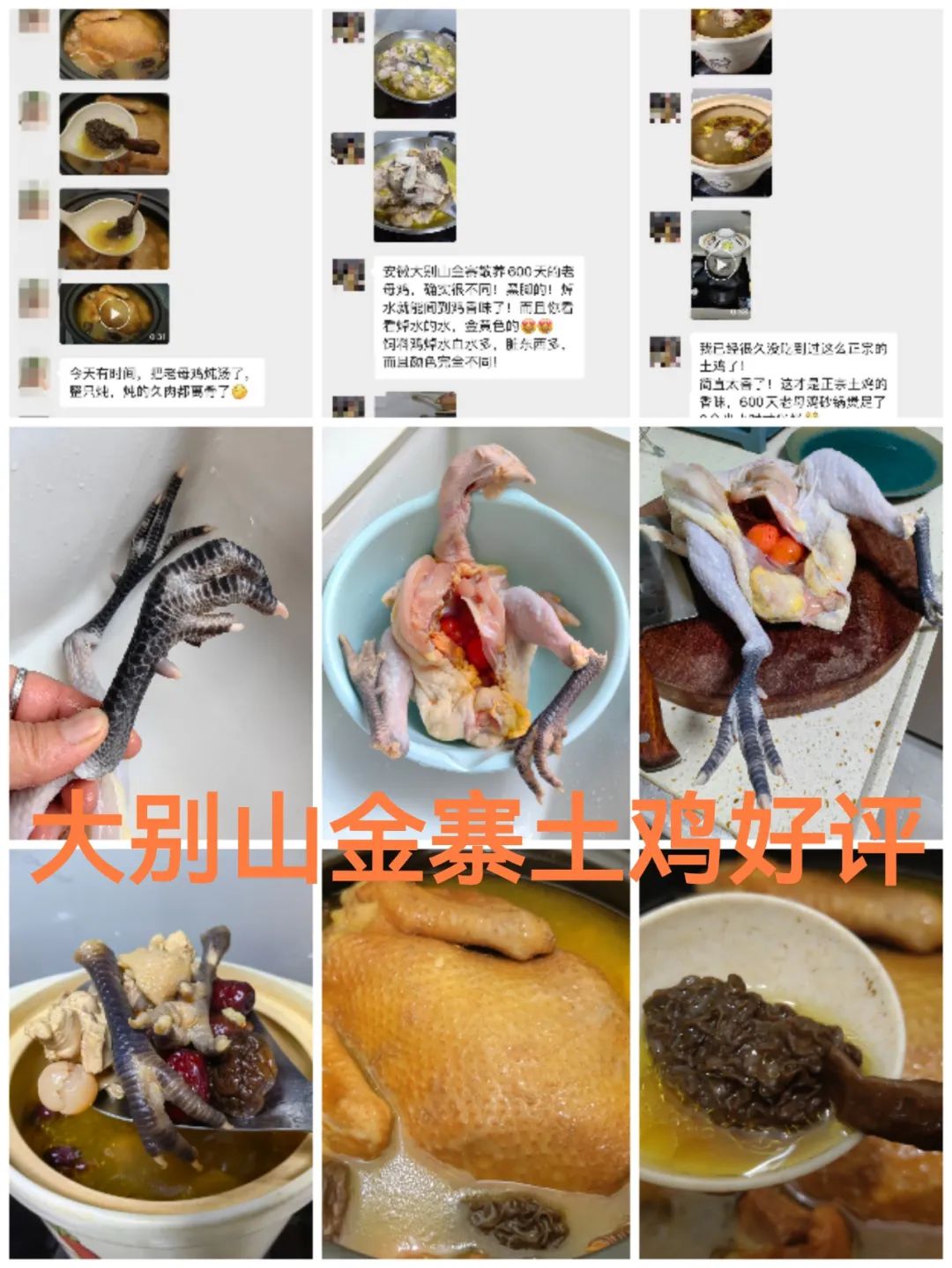 金寨黑腳土雞